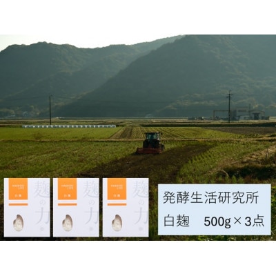 発酵生活研究所　白麹500g×3袋(計1.5kg)　