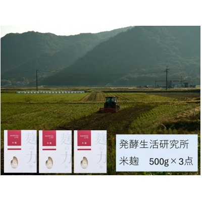 発酵生活研究所　米麹500g×3袋(計1.5kg)