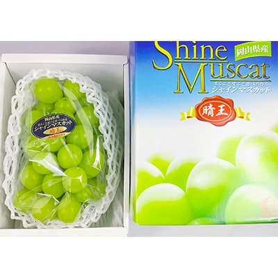 【秀品】種無ぶどう!　シャインマスカット　晴王　1房(約650g)8月発送分　ギフトにも(浅口市)