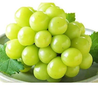 岡山県産　シャインマスカット「晴王」1房(約700g) 化粧箱入り