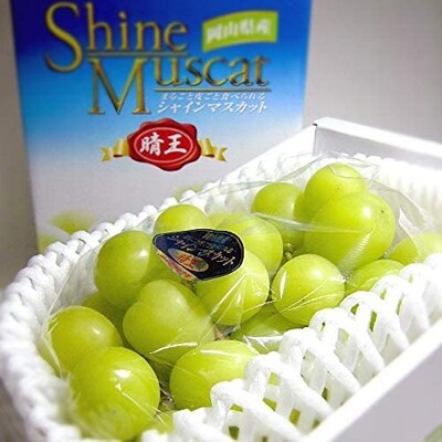 岡山県産　シャインマスカット「晴王」1房(約700g) 化粧箱入り
