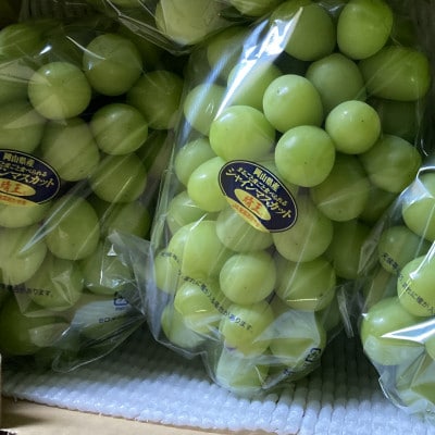 新鮮・朝採り後即出荷!岡山県　吉備高原産シャインマスカット　5kg(7～10房)ご贈答品