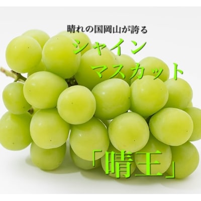 【2025年8月下旬から発送】岡山県産　シャインマスカット「晴王」(700g以上)1房入り