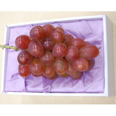 岡山特産のぶどう紫苑1房(600g以上)