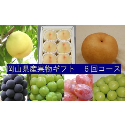 【発送月固定定期便】6回コース　桃、ぶどう、梨　岡山県産果物ギフト全6回