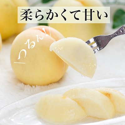 岡山県産　白桃8玉(1.7kg以上)　化粧箱入り