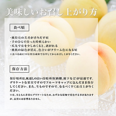 岡山県産　白桃8玉(1.7kg以上)　化粧箱入り
