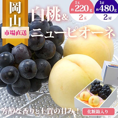 岡山県産　詰合せ/白桃とニューピオーネ　化粧箱入り