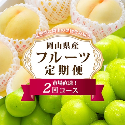 【発送月固定定期便】岡山県産 フルーツ定期便全2回
