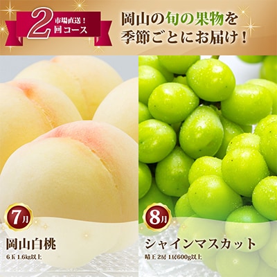 【発送月固定定期便】岡山県産 フルーツ定期便全2回