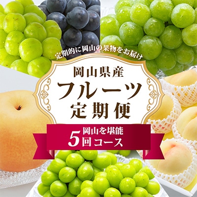 【発送月固定定期便】岡山県産 フルーツ定期便B全5回