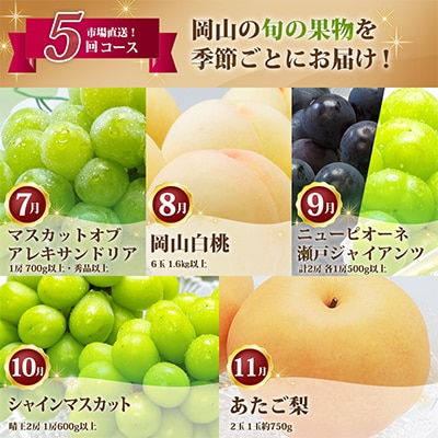 【発送月固定定期便】岡山県産 フルーツ定期便B全5回