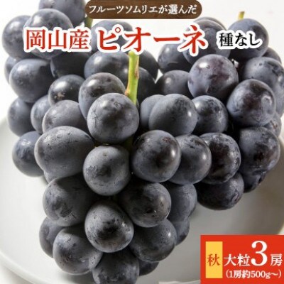 フルーツソムリエが選んだ岡山産【秋】ピオーネ3房
