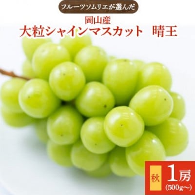 【先行予約　2025年9月より順次発送】岡山産シャインマスカット1房【秋・晴王】