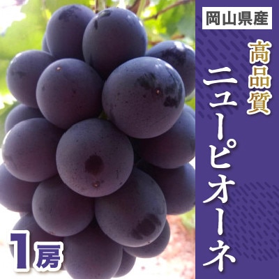 高品質ニューピオーネ1房入り