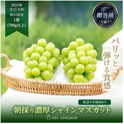 シャイン マスカット 1房(700g以上)贈答クラス 岡山県産 OEC KINGDOM ぶどう家