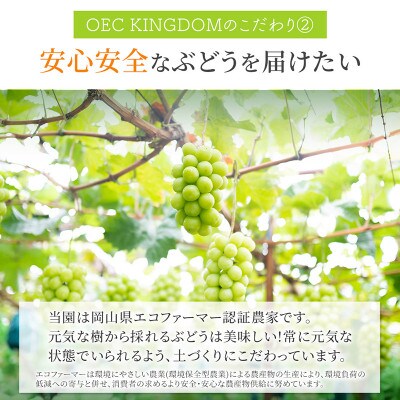 シャイン マスカット 1房(700g以上)贈答クラス 岡山県産 OEC KINGDOM ぶどう家