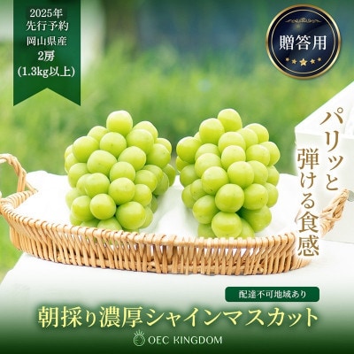 シャインマスカット 2房(合計1.3kg以上)贈答クラス 岡山県産 OEC KINGDOM ぶどう