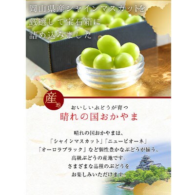 シャインマスカット ジュエルセレクション 岡山県産 2Lサイズ 20粒