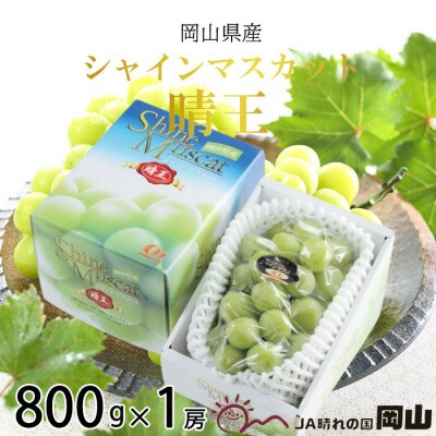 岡山県産　シャインマスカット　晴王　800g×1房