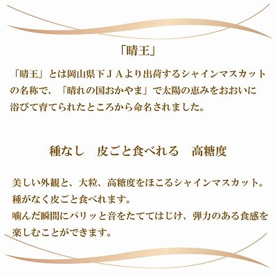 岡山県産　シャインマスカット　晴王　500g×2房