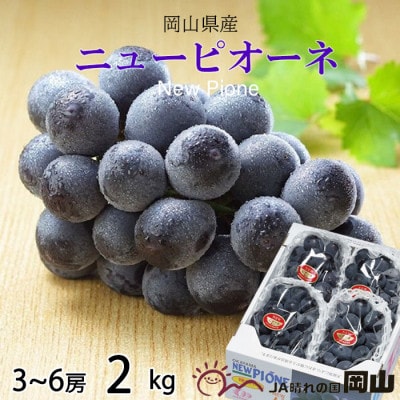 岡山県産 ニューピオーネ 2kg(3房~6房)