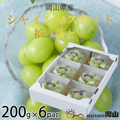 岡山県産　シャインマスカット　摘み落とし　200g×6パック