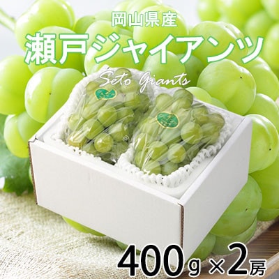 岡山県産 瀬戸ジャイアンツ 400g×2房