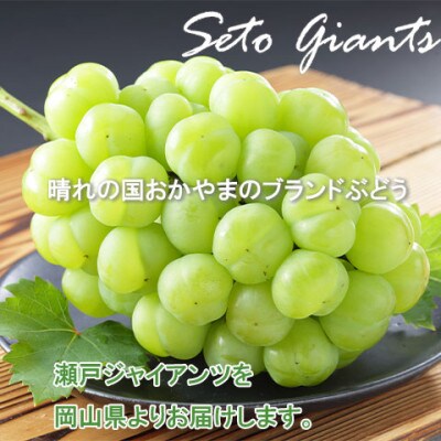 岡山県産 瀬戸ジャイアンツ 400g×2房