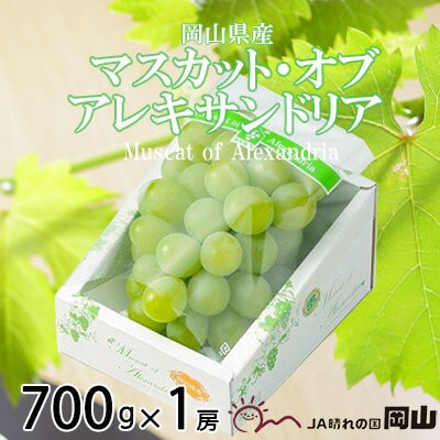 【2025年6月発送】岡山県産　マスカット・オブ・アレキサンドリア　700g×1房