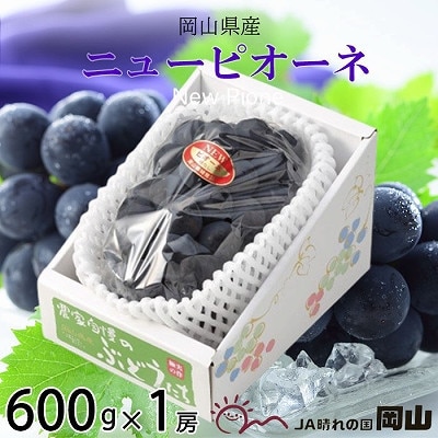【2025年8月発送】岡山県産　ニューピオーネ　600g×1房