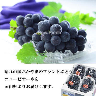 【2023年8月下旬より発送】岡山県産 ニューピオーネ 1.5kg(3房~6房)