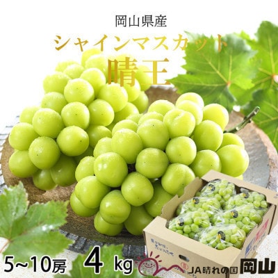 【2023年8月下旬より発送】岡山県産 シャインマスカット 晴王 4kg(5房~10房)