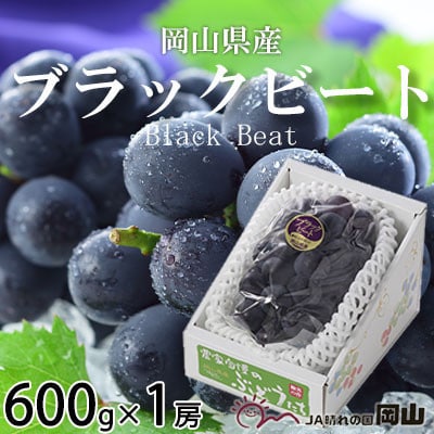 岡山県産　ブラックビート　600g×1房