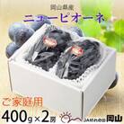 【2025年8月発送】ご家庭用　岡山県産　ピオーネ　400g×2房