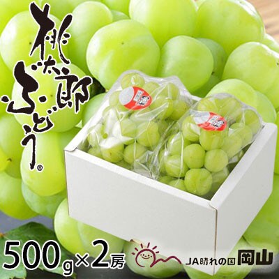 岡山県産 桃太郎ぶどう 500g×2房