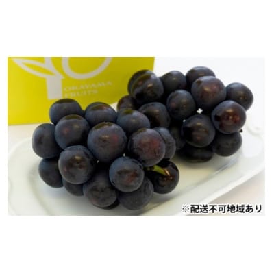 ご家庭用　岡山県産オーロラブラック(クール便)約1.2kg