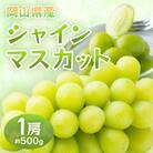 【2026年発送】岡山県産　シャインマスカット1房(約500g)(クール便)