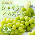 【2026年発送】岡山県産　シャインマスカット約1.3kg(2～3房)(クール便)