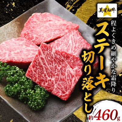 ステーキ切り落とし約460g
