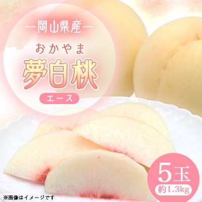 おかやま夢白桃　5玉　エース
