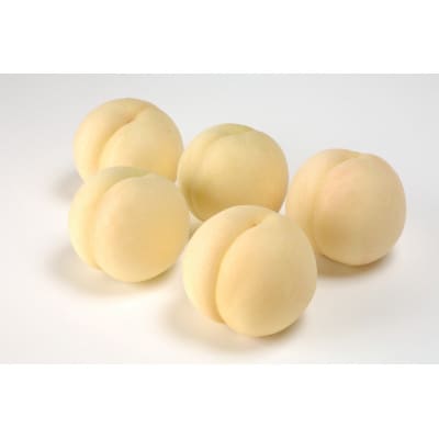 おかやま夢白桃　5玉　エース
