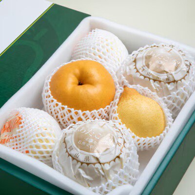 詰め合わせ4.5kg贈答箱赤秀 あたご2～3玉・鴨梨3～7玉 (AY-45)