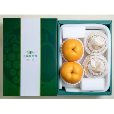 あたご梨4.5kg贈答箱赤秀 3～9玉 【A45-4-9】