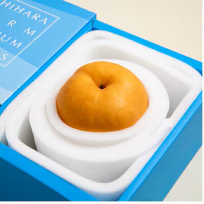 備前横綱梨1玉箱赤秀(1～1.5kg玉)(BY1-10)