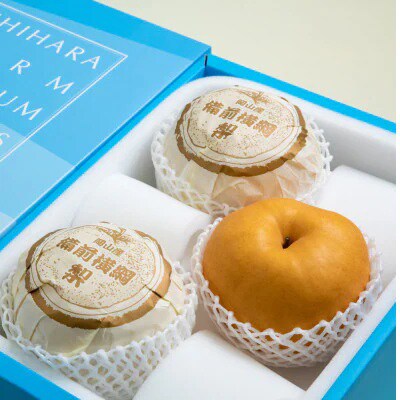 備前横綱梨3玉箱赤秀(1～1.5kg玉)(BY3-10)