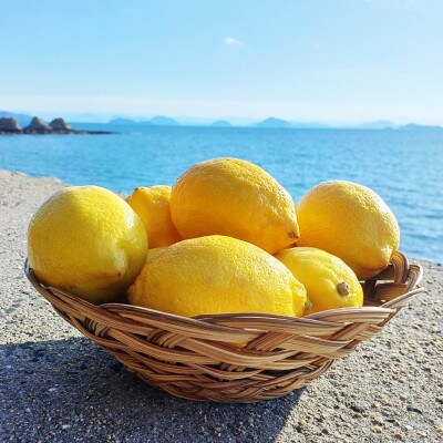 よりしま三ツ山レモン 約2kg(13～15個) | 岡山県浅口市