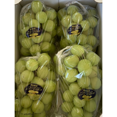 【農家直送】岡山産 シャインマスカット2kg 朝どれ!3-4房