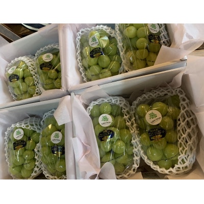 【農家直送】岡山産 シャインマスカット2kg 朝どれ!3-4房