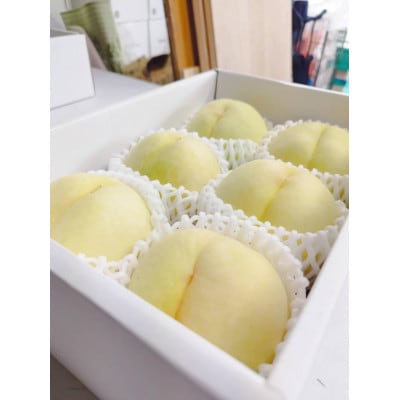 清水白桃　ご家庭用　1.5kg箱(6玉前後)